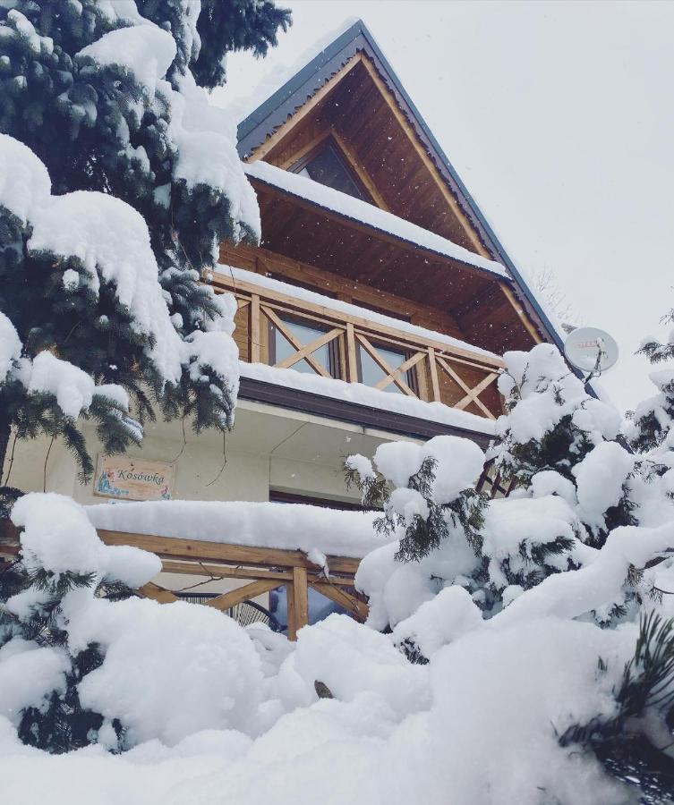 Dom Pracy Tworczej Kosowka Villa Kościelisko Buitenkant foto